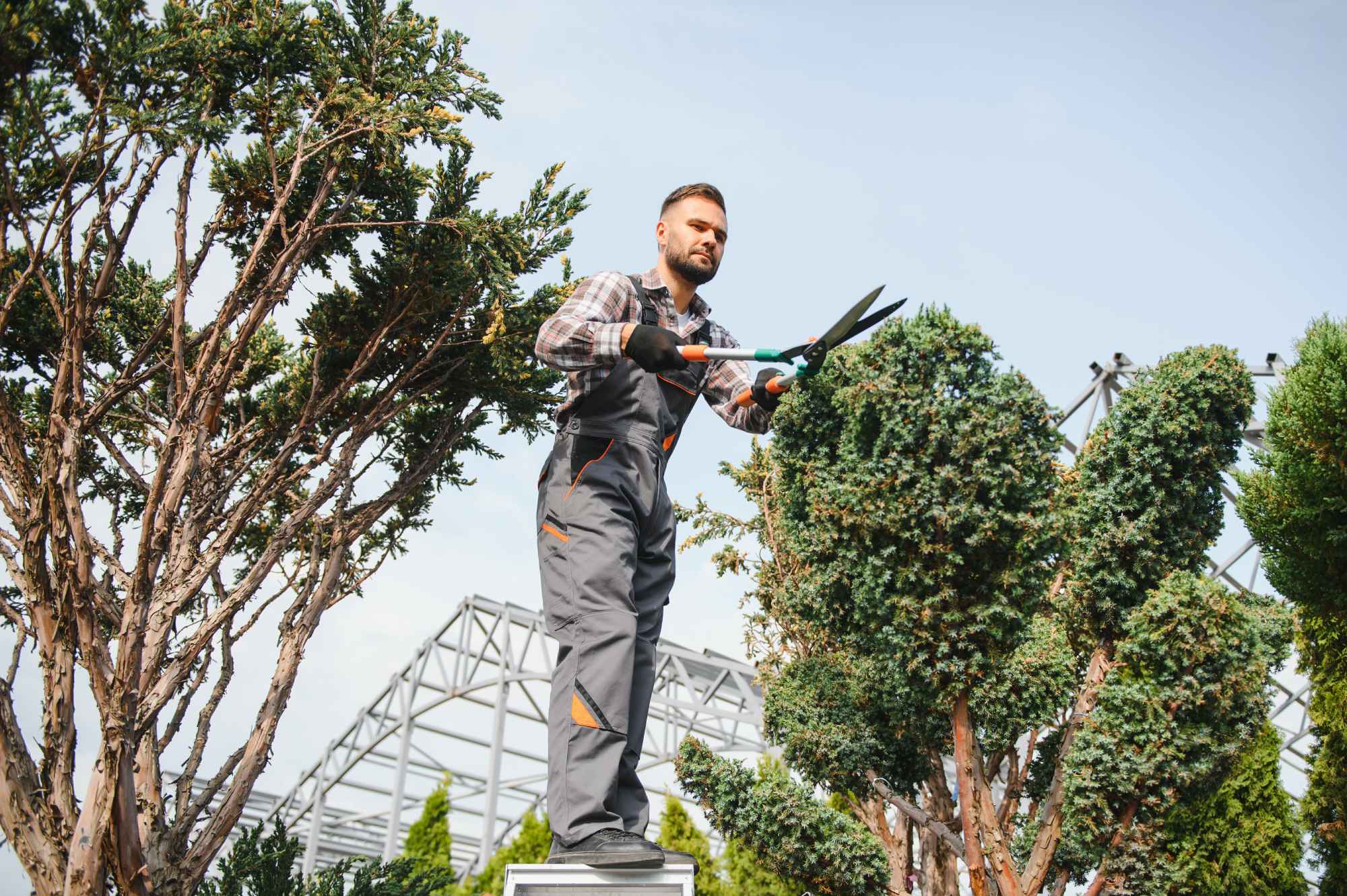 Service_6